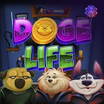 Doge Life - CAMPSLOT138