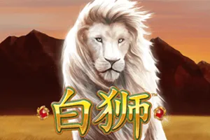 Bai Shi - CAMPSLOT138